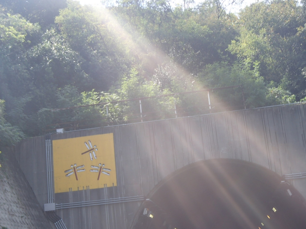 2013年 No.15 赤とんぼミーティングを開きます。